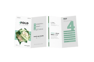4-fold-brochure-mockup-in-uae