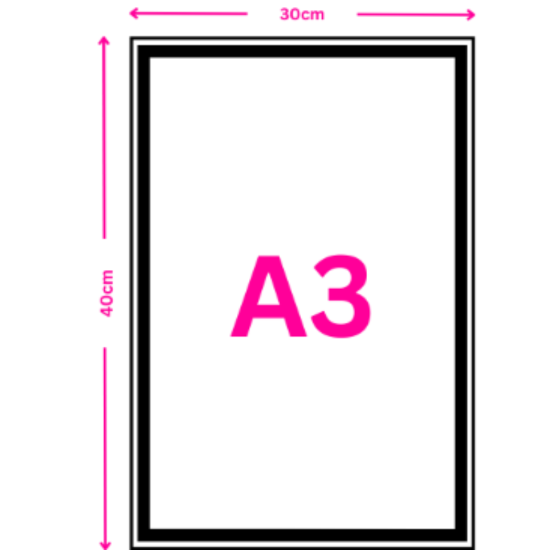 A3 Canvas Print