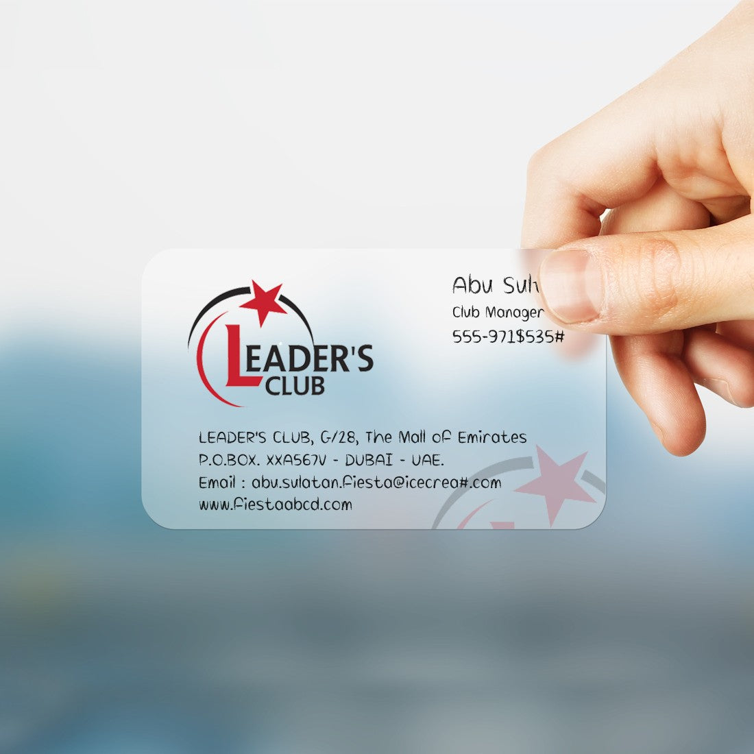 Classic Transparent Business Card (PVC)